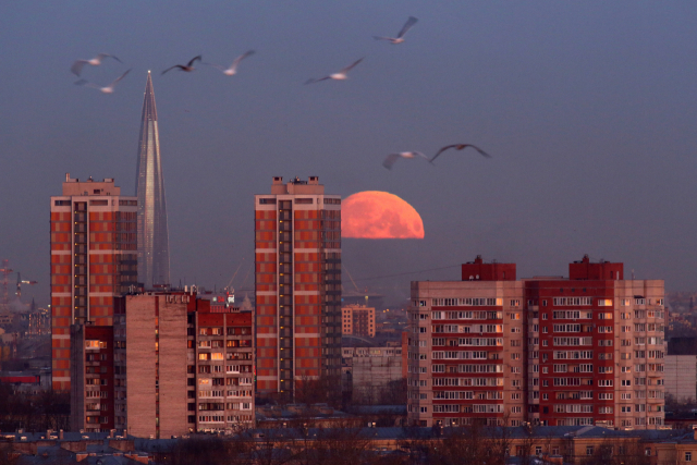 러시아 상트페테르부르크의 건물들 너머로 정월 대보름 전야의 둥근 달이 떠오르고, 새들이 날고 있는 모습. 연합뉴스