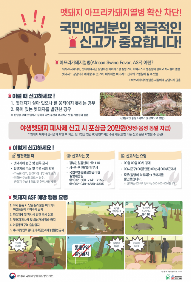 아프리카돼지열병 신고 요령 포스터. 낙동강유역환경청 제공