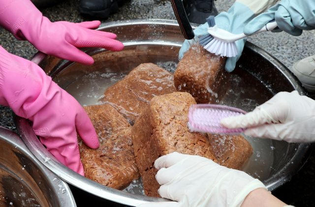 20일 오전 부산 기장군 기장군농업기술센터에서 전통장류과정 수강생들이 장을 담그기 전 메주를 씻고 있다. 정종회 기자 jjh@