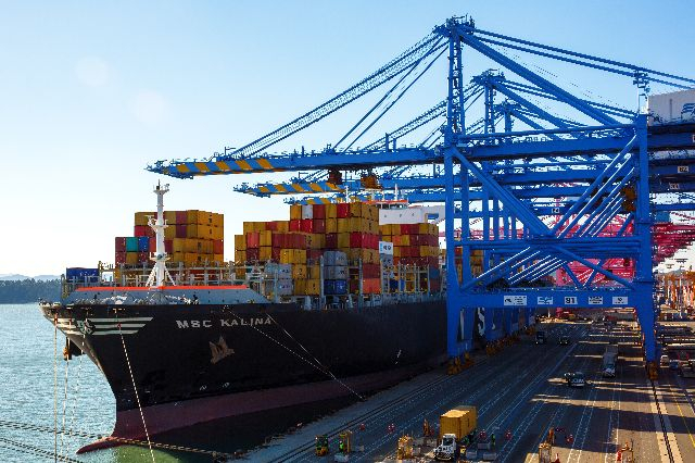 부산항 신항에서 컨테이너선에 수출입 화물을 하역하는 장면. 부산일보DB