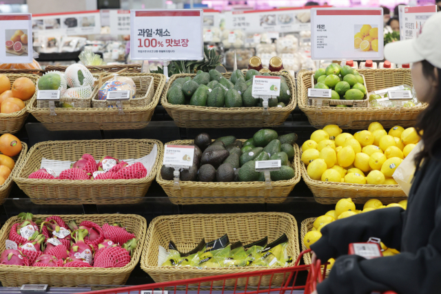 서울의 한 대형마트에서 시민이 수입 과일을 고르고 있는 모습. 연합뉴스