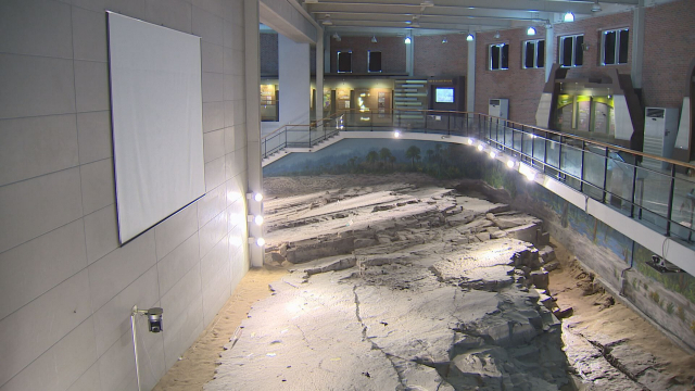 경남과학교육원 화석전시관 모습. 김현우 기자