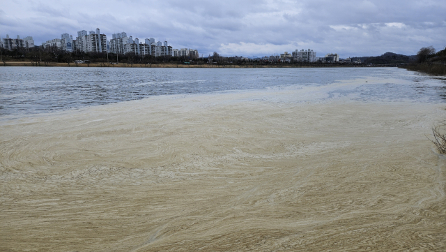 긴 띠를 이루던 거품은 물살이 약한 곳에서 조금씩 뭉쳐 거대한 섬을 만들었다. 김현우 기자