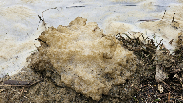 진주시와 남강댐관리단은 거품이 댐 방류 낙차로 인한 자연현상이라고 설명하고 있지만 일각에서는 일부 오염물질이 섞였을 것이란 주장도 나오고 있다. 김현우 기자
