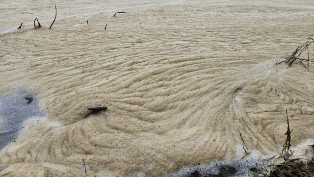 경남 진주시에 누런 거품섬이 형성됐다. 마치 맥주 거품 같은 모습에 시민들은 수질오염을 걱정했다. 김현우 기자
