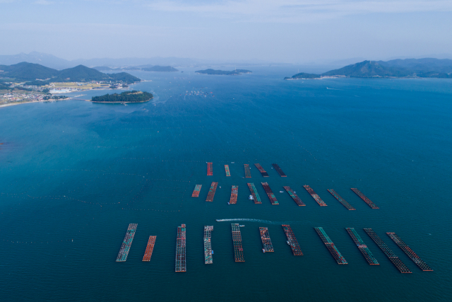 올해부터 양식업을 전업으로 하는 어업인도 소득의 5000만 원까지 소득세를 감면받을 수 있게 된다. 사진은 전복양식장 전경. 부산일보DB