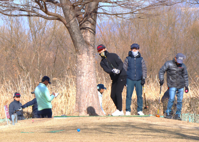 지난 26일 삼락생태공원 파크골프장에서 열린 대통령기전국파크골프대회 부산대표 선발전에 참가한 선수들이 경기를 진행하고 있다. 남태우 기자