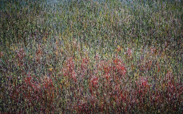 강혜은 ‘line-piece 2322’. 맥화랑 제공