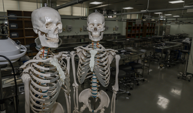 지난 11일 경남 양산시 물금읍 양산부산대병원 응급실 앞에 정상 진료 차질을 알리는 안내판이 놓여있다. 아래 사진은 이날 부산대 양산캠퍼스 의과대학 해부학실습실이 개강 연기로 텅 비어 있는 모습. 김종진 기자 kjj1761@