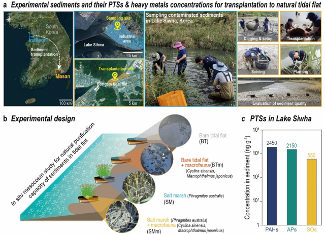 마산 봉암갯벌 연구 지역. 서울대 제공