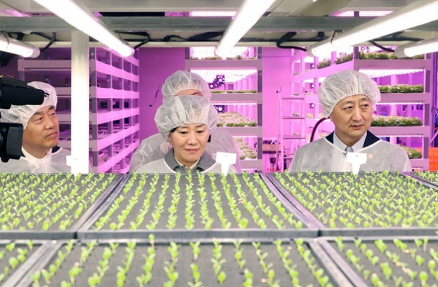 스마트팜의 한 형태인 수직농장. 사진은 송미령 농식품부 장관이 수직농장을 방문한 모습. 부산일보 DB