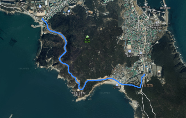 사진은 영도구청이 시에 제출한 태종대 해양힐링로 버스 노선을 지도 상에 재현한 것. 김준현 기자 joon@