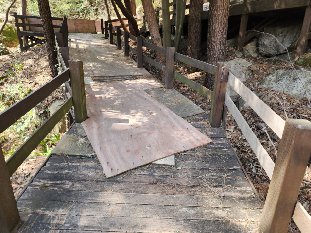 지난 1일 부산 금정구 장전동 금정산 둘레길. 파손된 덱 바닥만 합판으로 보수해놨다. 부산환경회의 제공