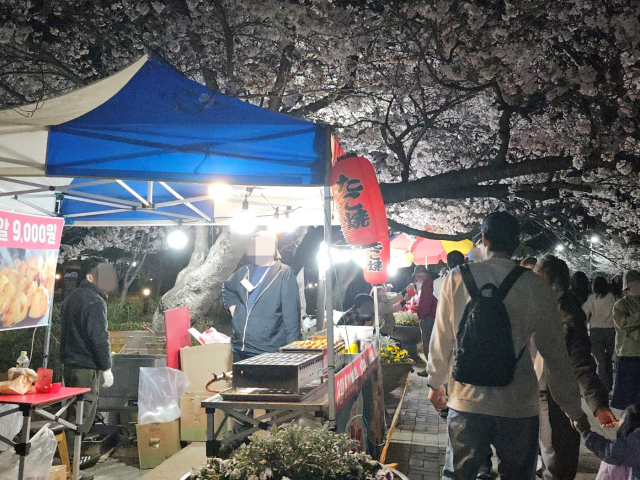 지난달 23일부터 열흘간 경남 창원시 진해구 전역에서 열린 ‘진해군항제’에서 무신고 불법 영업을 하는 노점상들. 강대한 기자