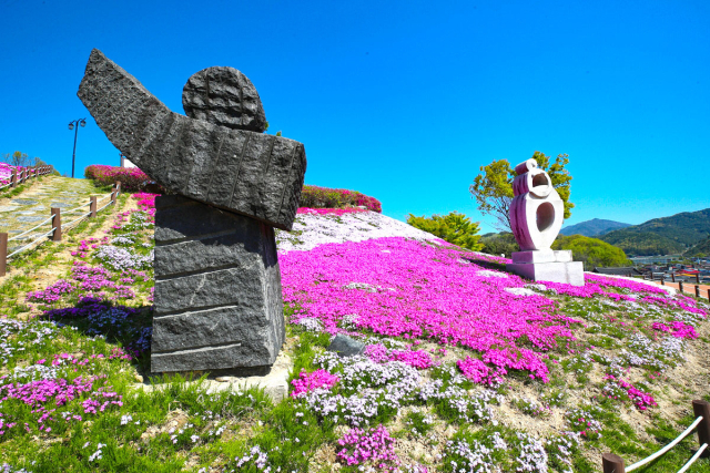 전국 최대 규모의 꽃잔디 축제 ‘제5회 산청 생초국제조각공원 꽃잔디 축제’가 15일부터 28일까지 산청군 생초면에서 개최된다. 산청군 제공