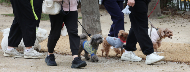 지난 11일 진행된 반려동물 돌봄 시민교육에서 보호자들과 함께 산책 교육을 진행하고 있다. 정대현 기자 jhyun@