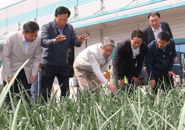 강호동 농협중앙회장이 양파 생육상황을 점검하기 위해 양파 주산지인 경남 함양군 농가를 방문해 양파를 살펴보고 있다. 농협 제공