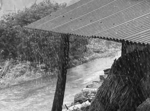 고성 산골 동길산 시인이 사는 집 옆집 외양간 지붕에 비가 떨어지고 있다. 박정화 사진가 제공