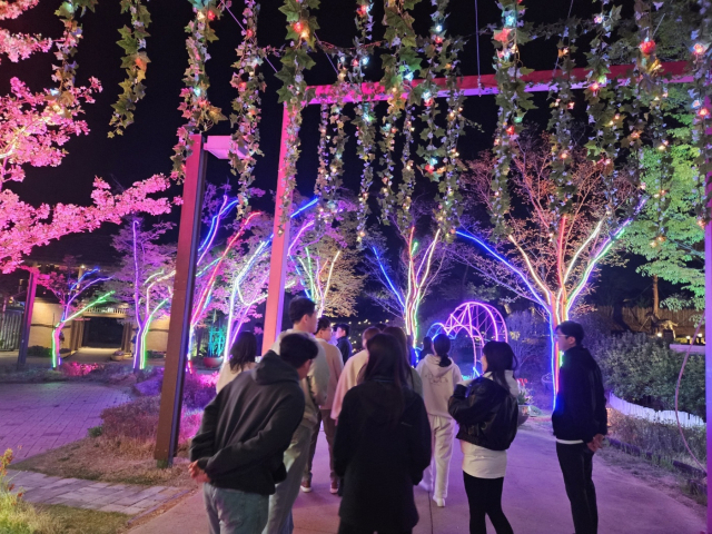 지난 13~14일 김해가야테마파크에서 진행된 ‘나는 김해솔로’ 프로그램 참가자들이 별빛야행을 즐기는 모습. 김해시 제공