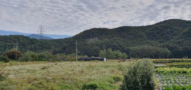 주진 불빛 공원 조성인 추진 중인 회야강과 주진천 합류부 일대 전경. 김태권 기자