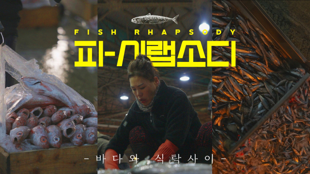 부산일보 유튜브에서 볼 수 있는 피시랩소디 야간부녀반편 썸네일.