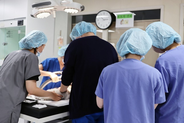 농림축산검역본부는 2024년 5월부터 ‘동물용 신약 전담 심사팀’을 신설하고, 재작년에 이어 2년 연속으로 동물용 신약 7개 품목을 허가하는 등 반려동물용 신약 개발을 지속적으로 지원하고 있다고 23일 밝혔다. 클립아트코리아