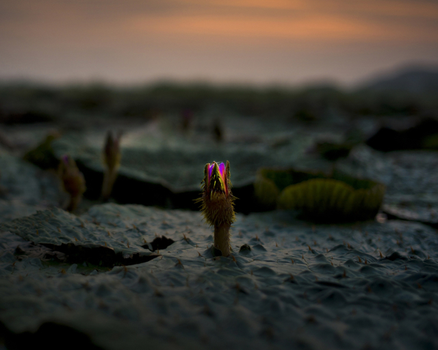 정봉채 ‘촛불’. 경남도립미술관 제공