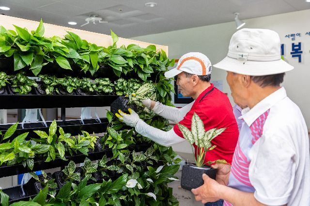 노인들이 사회복지시설에 설치된 수직정원을 관리하고 있다. 부산일보DB