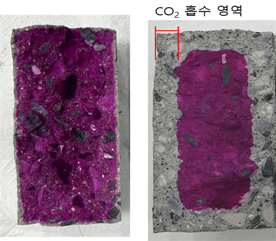 CO₂양생 기술 적용 전후 비교(페놀프탈레인 용액분무를 통한 콘크리트 탄산화 확인). CO2 양생 기술을 적용하지 않은 콘크리트 시험체(왼쪽), CO2 양생 기술을 적용한 콘크리트 시험체(오른쪽). ※ 콘크리트의 pH를 이용한 방법으로 보라색으로 변색되지 않으면 콘크리트가 탄산화된 것(CO2 흡수)으로 판단. 건설연 제공