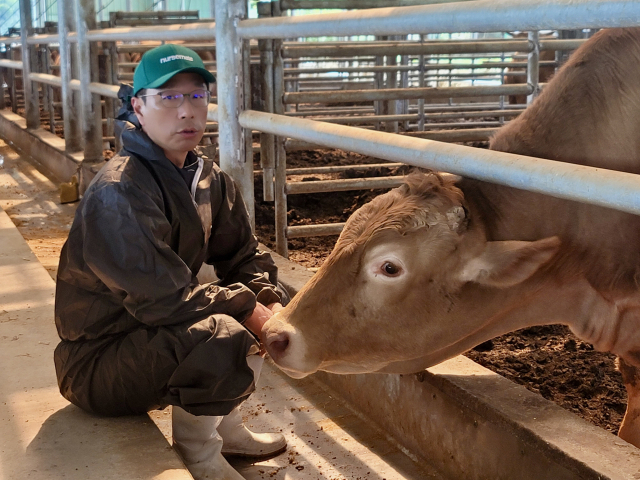 울산 울주군 알곡한우농장 김태호 대표가 사육 중인 소를 어루만지며 “품종 개량에 공을 많이 들였다. 무엇보다 애정을 갖고 키우는 게 중요하다”고 말했다. 권승혁 기자 gsh0905@