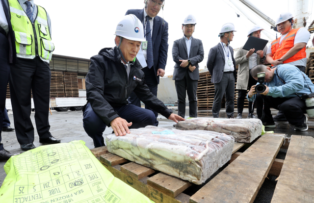 송명달 해양수산부 차관이 30일 오전 부산 사하구 감천항에서 원양 오징어 초도물량 하역 및 공급 현장을 점검하고 있다. 해양수산부는 원양 오징어 생산량이 전년보다 약 60% 증가해 국내 오징어 수급 불안 해소와 소비자 가격 안정에 기여할 것으로 전망하고 있다. 정종회 기자 jjh@