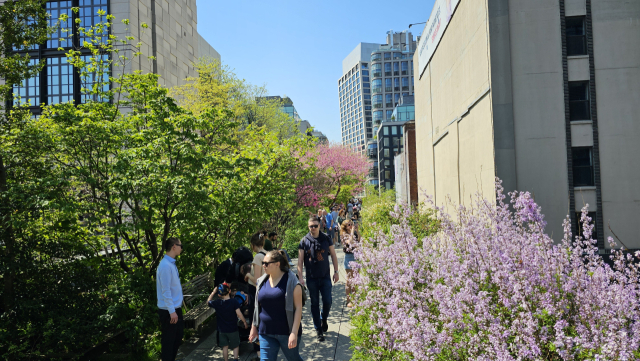 낙동강협의회가 고가철로를 공원으로 조성한 하이라인을 시찰하고 있다. 김태권 기자