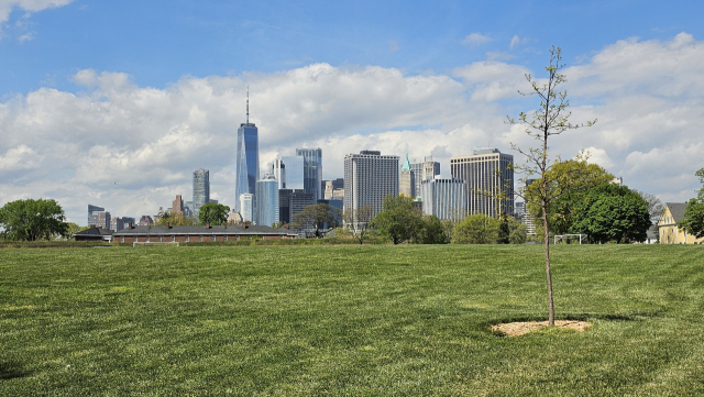 거버너스 아일랜드에 조성된 잔디밭 전경. 김태권 기자