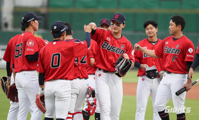 롯데 자이언츠 선수들이 지난달 첫 번째 ‘부산동백시리즈’ 기간 착용한 ‘동백유니폼’. 롯데 자이언츠 제공