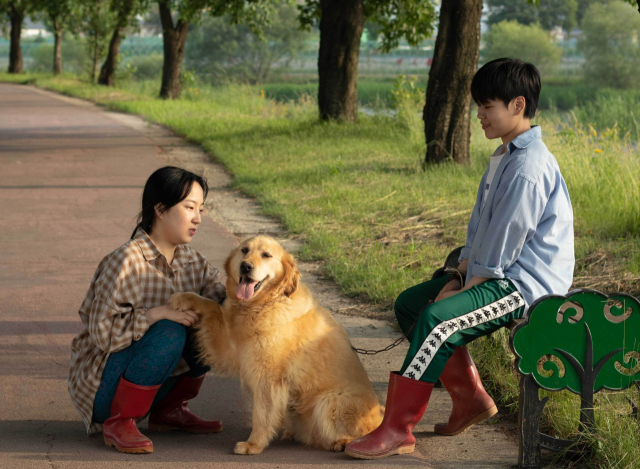 영화 '리!푸레시' 스틸컷. 부산대학영화제 제공