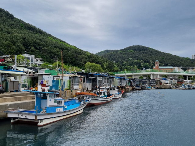 부산 남구 이기대 BPA 부지 매각 관련 해당 부지에서 어업 활동 중인 용호어촌계 모습.