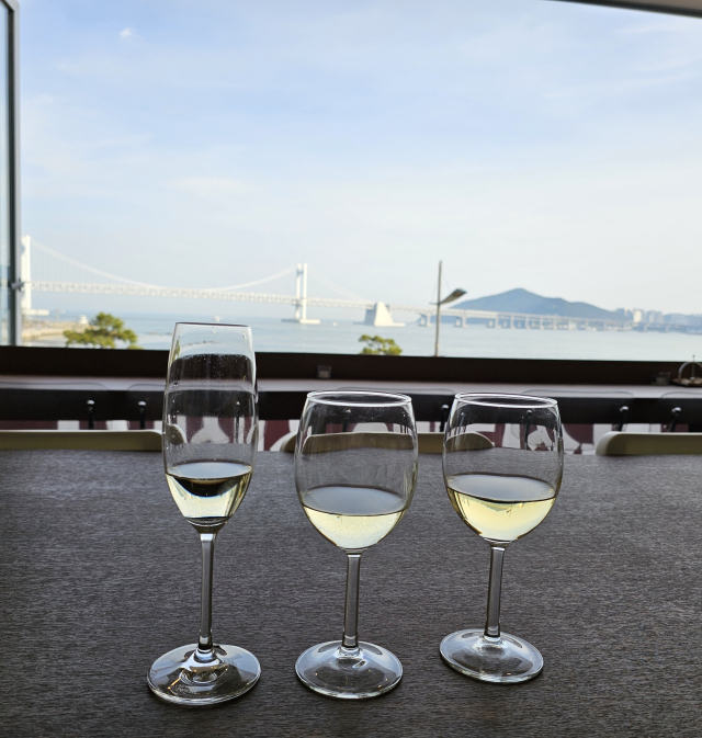 광안리 모 와인숍에서 촬영한 허세 사진. 이날 수강한 와인 원데이 클래스에서 마셔본 화이트 와인들이야. 조경건 부산닷컴 기자