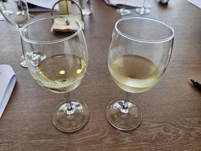 시음해본 화이트 와인인데, 왼쪽이 리슬링 오른쪽이 샤르도네야. 리슬링은 향도, 산미도 강하고 바디감이 적당했는데, 샤르도네는 가볍고 산뜻해서 확실히 비교가 됐어. 참고로 리슬링은 독일 모젤 지역이 대표적인 산지라고 하네. 조경건 부산닷컴 기자