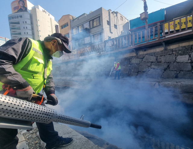 부산 동구청이 올 4월 모기 등 해충을 없애기 위해 초량천에 방역을 실시하고 있다. 동구청 제공