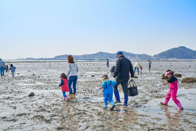 어촌체험휴양마을인 전북 고창군 하전마을의 갯벌체험 프로그램. 어촌어항공단 제공