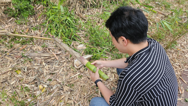 바닥에는 죽은 대나무와 죽순 등이 혼재돼 버려져 있다. 김현우 기자