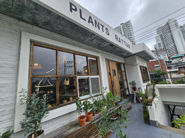 부산진구에 위치한 라탄 공방 입구야. 나무가 가득해서 공방 느낌을 제대로 풍기고 있어. 조경건 부산닷컴 기자