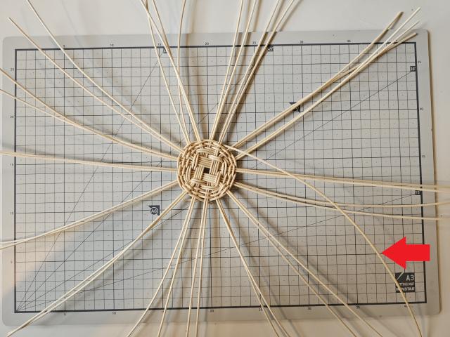 선생님이 미리 만들어 놓으신 바구니 바닥이야. 사방으로 길게 뻗어 있는 활심이 바구니를 수직으로 지탱해 줄 기둥인 ‘날대’들이고, 이 날대들을 감싸면서 면을 채워 줄 부드러운 활심이 빨간색 화살표로 표시한 ‘사릿대’야. 조경건 부산닷컴 기자