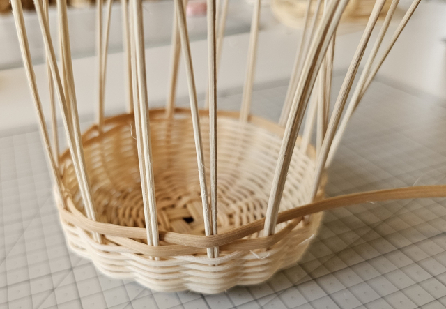 어느 세월에 2mm 사릿대로만 바구니를 만들겠냐고. 5mm 사릿대를 중간에 사용하면 빠르게 옆면을 채워나갈 수 있어. 조경건 부산닷컴 기자