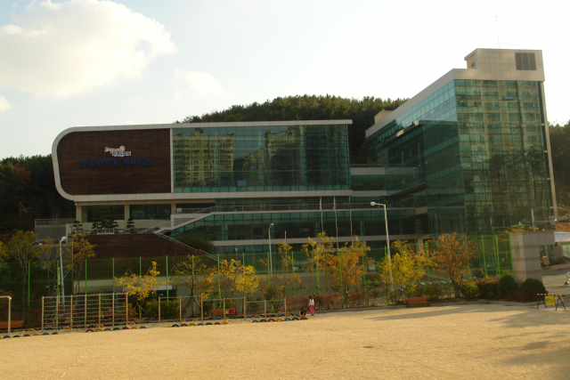 부산광역시체육회. 부산일보DB