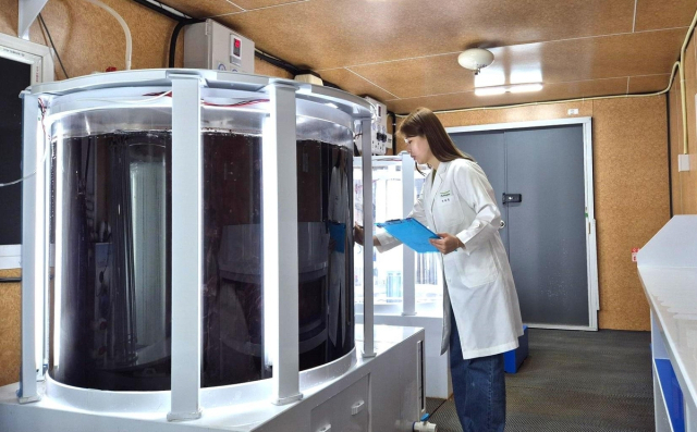 풀무원기술원 연구원이 큰 수조 안에서 재배되는 육상 양식 김을 연구하고 있다. 풀무원 제공