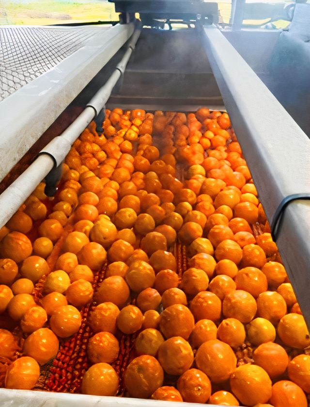 HMM의 리퍼 컨테이너를 통해 캘리포니아산 오렌지가 운송되고 있다. HMM 제공