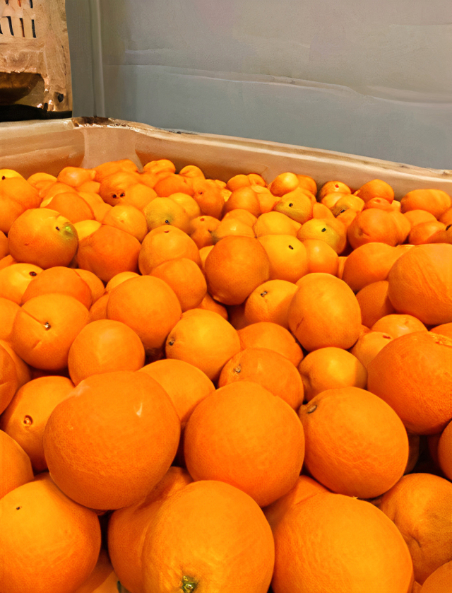 HMM의 리퍼 컨테이너를 통해 캘리포니아산 오렌지가 운송되고 있다. HMM 제공