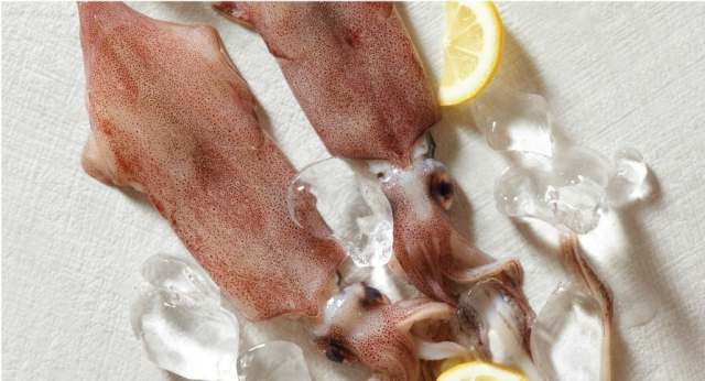 한치는 열량이 낮으면서도 아르기닌, 타우린 등 각종 영양소가 풍부하다. 수협중앙회 제공