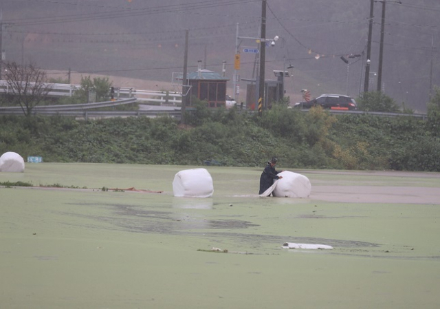 10일 새벽 강한 비가 쏟아진 대전 서구 용촌동에서 한 농민이 침수된 밭을 살펴보고 있다. 연합뉴스